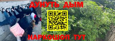 apvp Ипатово