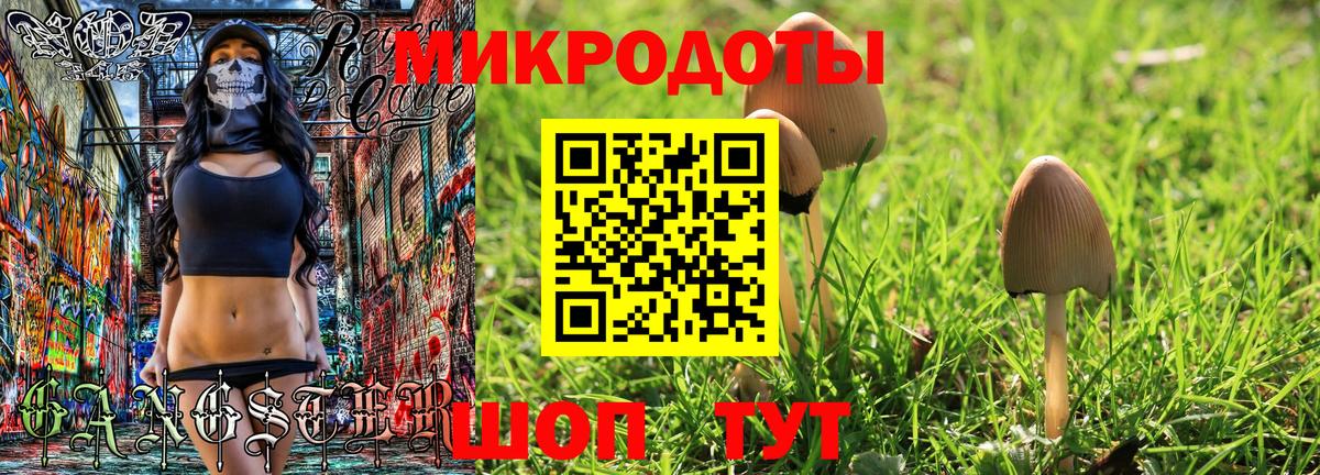 Псилоцибиновые грибы мухоморы  где можно купить   Галлюциногенные грибы MAGIC MUSHROOMS  Петровск  Вход с VPN 
