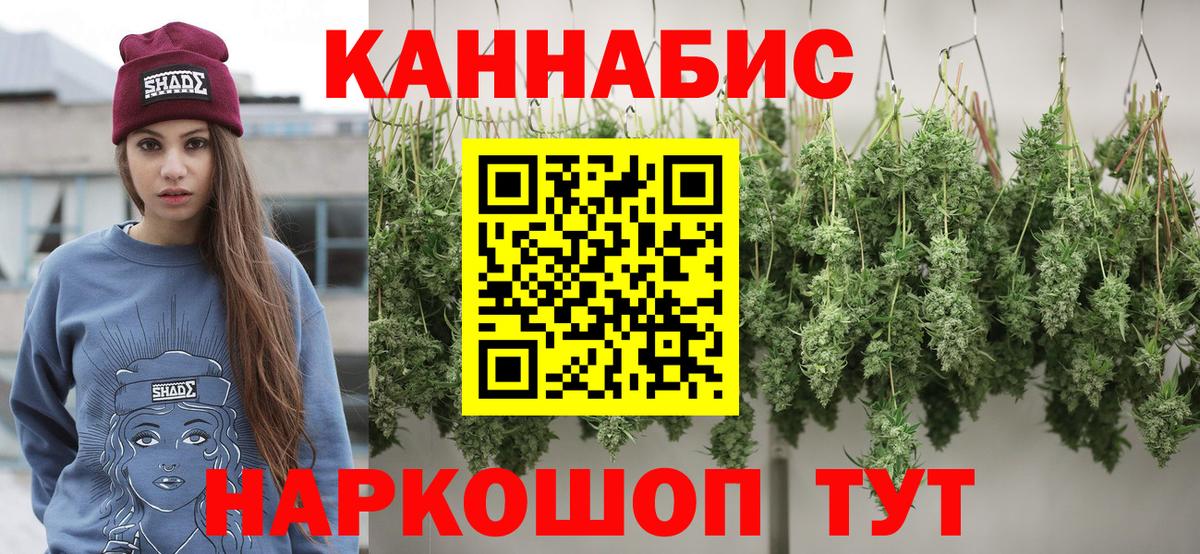 Бошки Шишки планчик Петровск